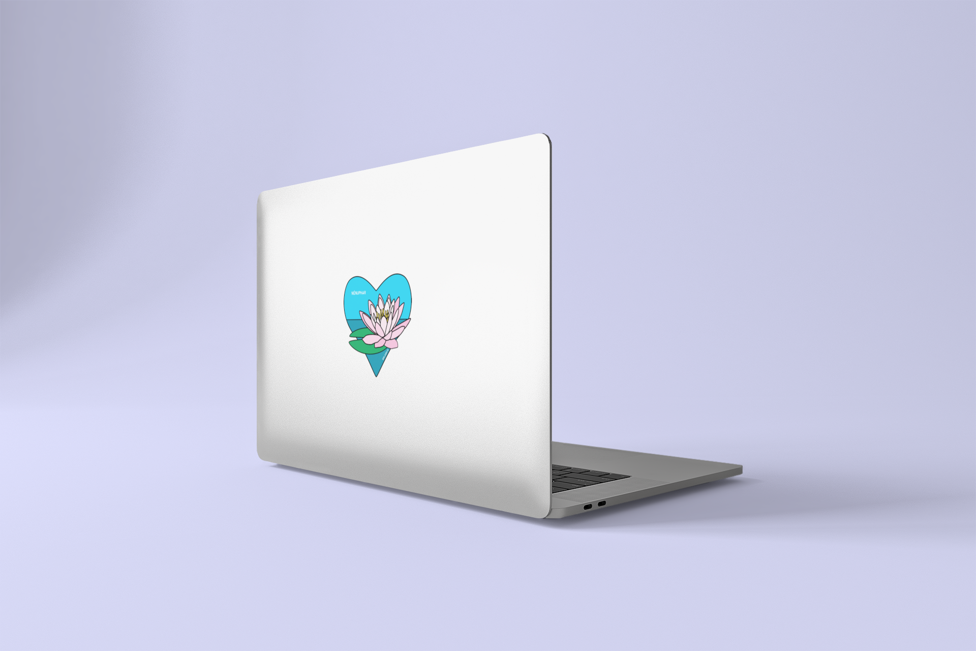 Sticker Île de la Martinique - drapeau régional - Splash Designs